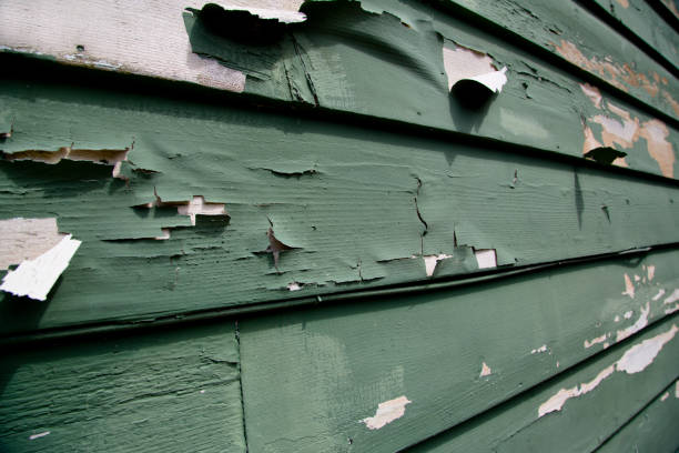Cedar Bluff, AL Junk Removal Company